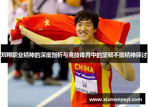 刘翔职业精神的深度剖析与竞技体育中的坚韧不拔精神探讨