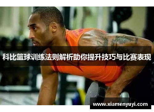 科比篮球训练法则解析助你提升技巧与比赛表现
